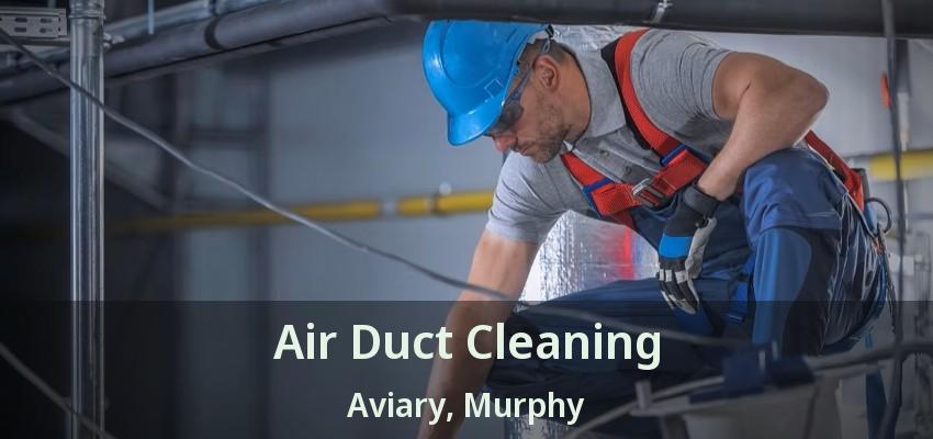 Air Duct Cleaning Aviary, Murphy - TX