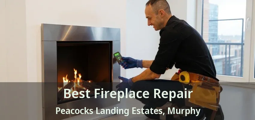 Best Fireplace Repair Peacocks Landing Estates, Murphy - TX