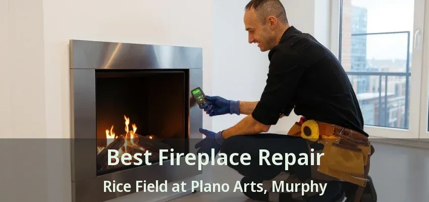 Best Fireplace Repair Rice Field at Plano Arts, Murphy - TX