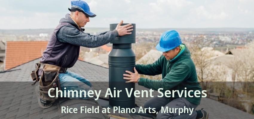 Chimney Air Vent Services Rice Field at Plano Arts, Murphy - TX