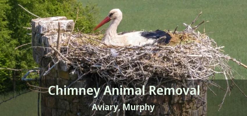 Chimney Animal Removal Aviary, Murphy - TX