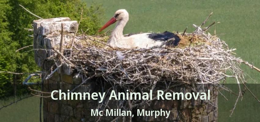 Chimney Animal Removal Mc Millan, Murphy - TX