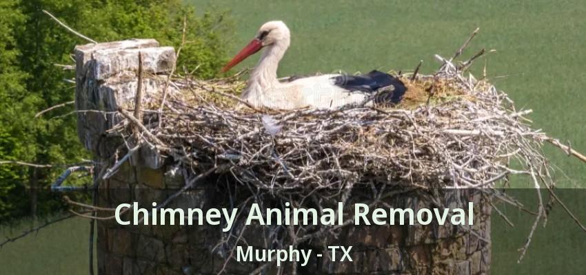 Chimney Animal Removal Murphy - TX
