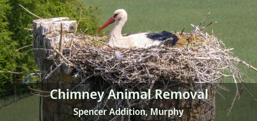 Chimney Animal Removal Spencer Addition, Murphy - TX