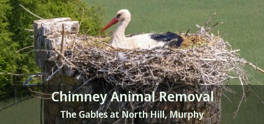 Chimney Animal Removal The Gables at North Hill, Murphy - TX