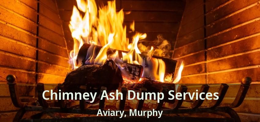 Chimney Ash Dump Services Aviary, Murphy - TX