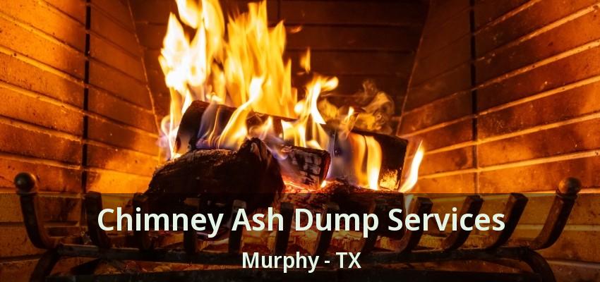 Chimney Ash Dump Services Murphy - TX
