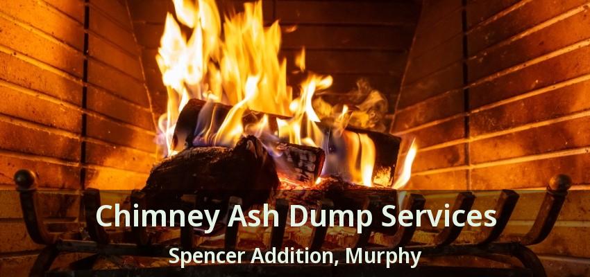 Chimney Ash Dump Services Spencer Addition, Murphy - TX