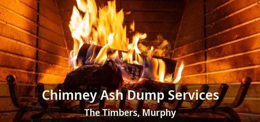 Chimney Ash Dump Services The Timbers, Murphy - TX