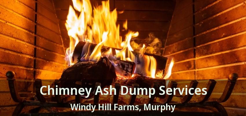 Chimney Ash Dump Services Windy Hill Farms, Murphy - TX