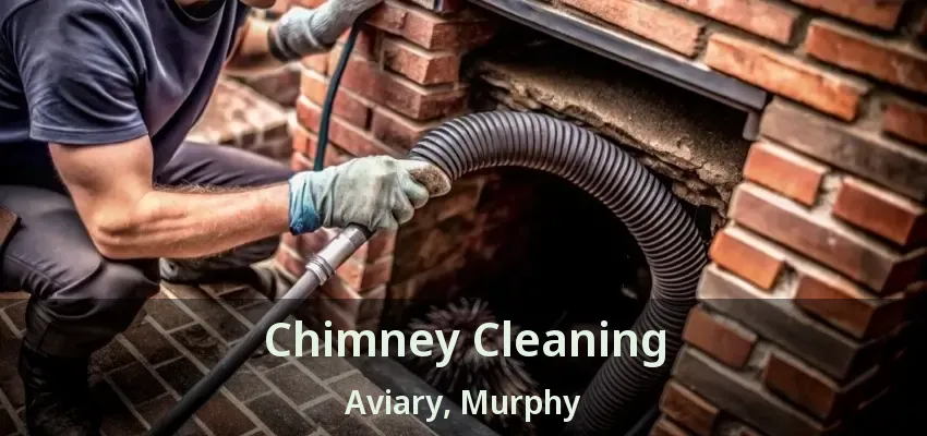 Chimney Cleaning Aviary, Murphy - TX
