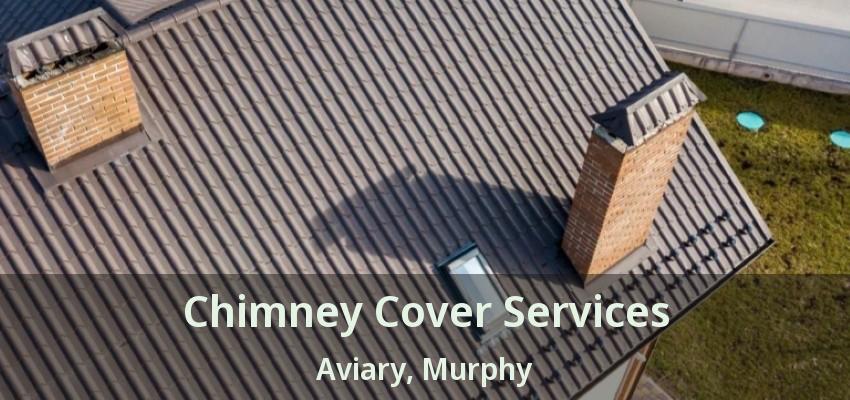 Chimney Cover Services Aviary, Murphy - TX