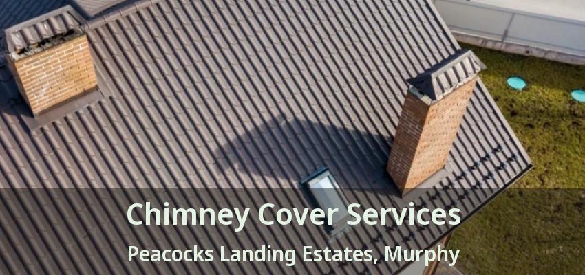 Chimney Cover Services Peacocks Landing Estates, Murphy - TX