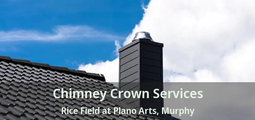 Chimney Crown Services Rice Field at Plano Arts, Murphy - TX