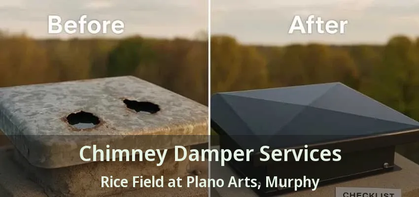 Chimney Damper Services Rice Field at Plano Arts, Murphy - TX