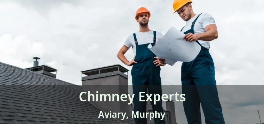 Chimney Experts Aviary, Murphy - TX