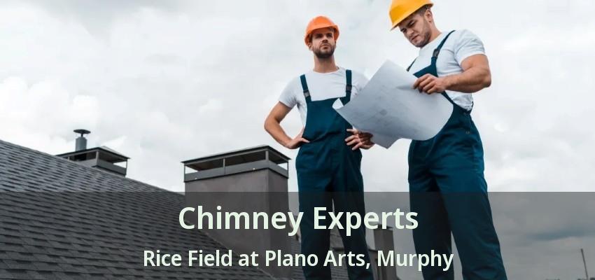 Chimney Experts Rice Field at Plano Arts, Murphy - TX