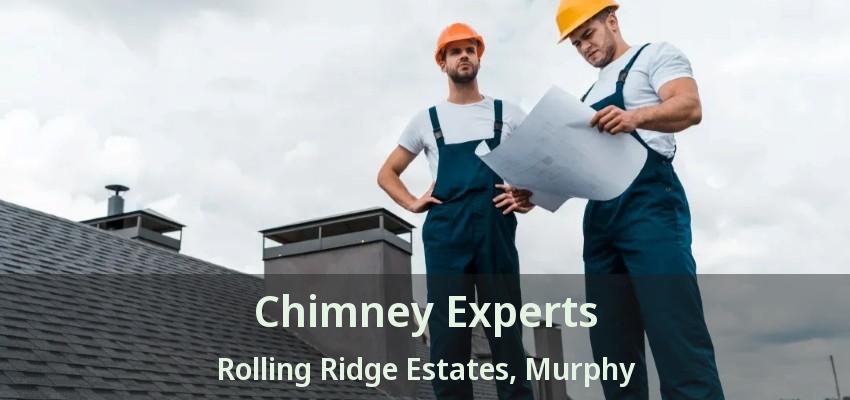 Chimney Experts Rolling Ridge Estates, Murphy - TX