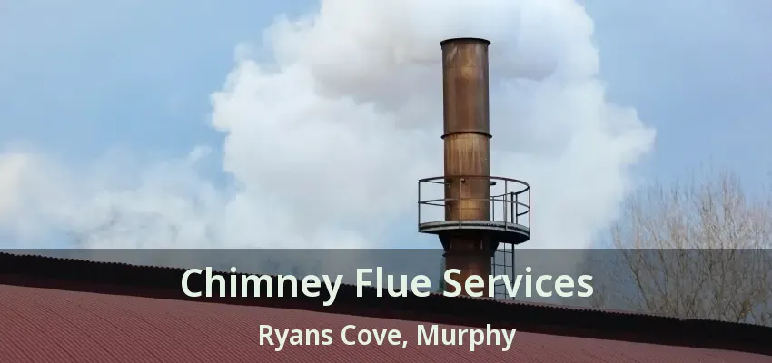 Chimney Flue Services Ryans Cove, Murphy - TX