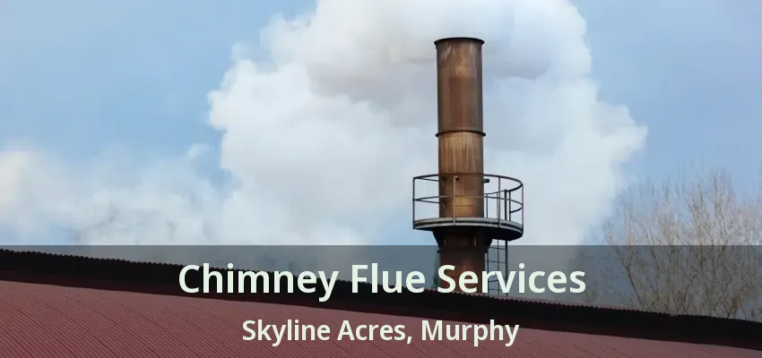 Chimney Flue Services Skyline Acres, Murphy - TX