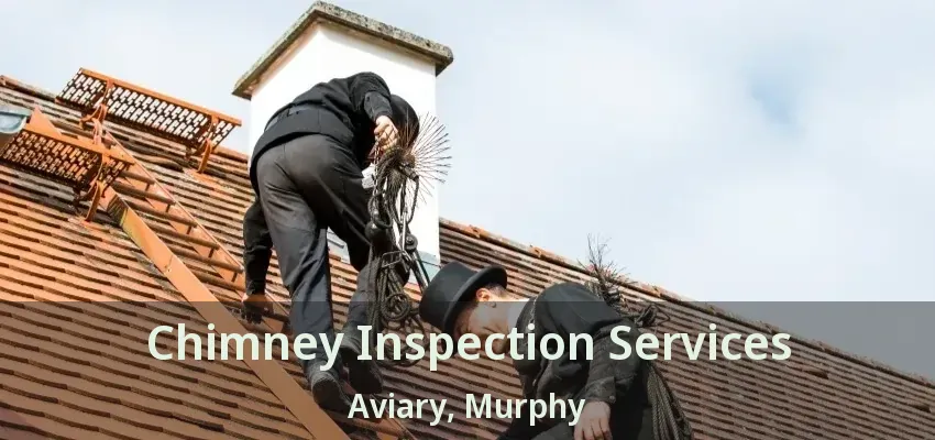 Chimney Inspection Services Aviary, Murphy - TX