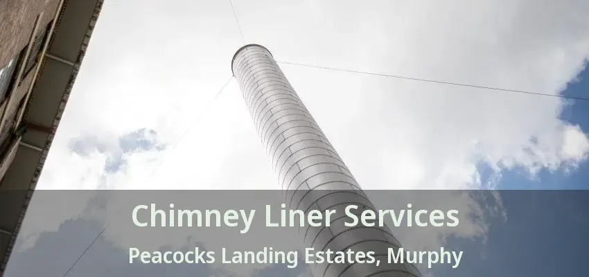 Chimney Liner Services Peacocks Landing Estates, Murphy - TX