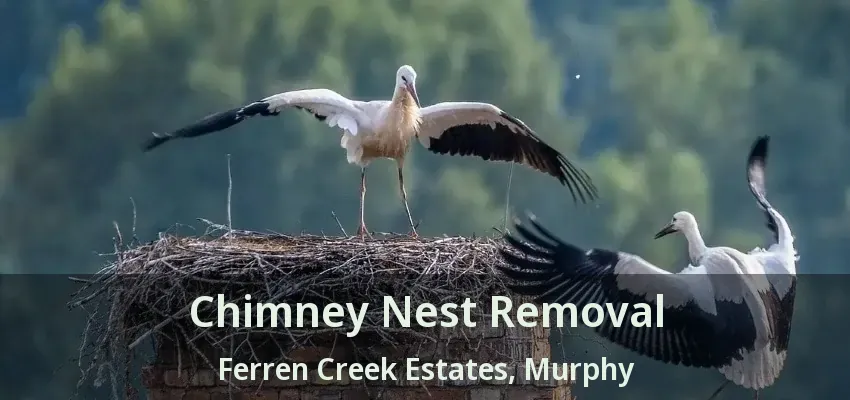 Chimney Nest Removal Ferren Creek Estates, Murphy - TX