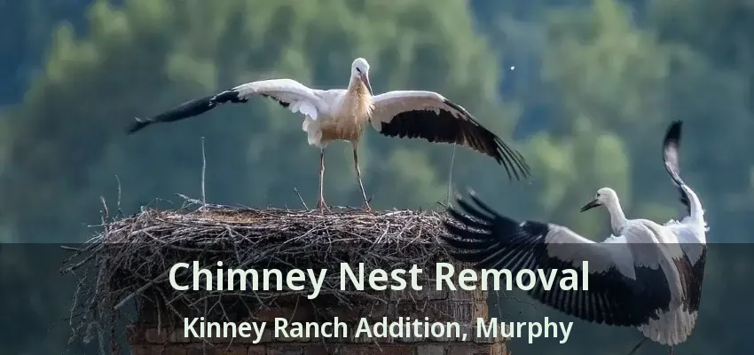 Chimney Nest Removal Kinney Ranch Addition, Murphy - TX
