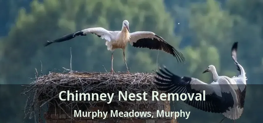 Chimney Nest Removal Murphy Meadows, Murphy - TX