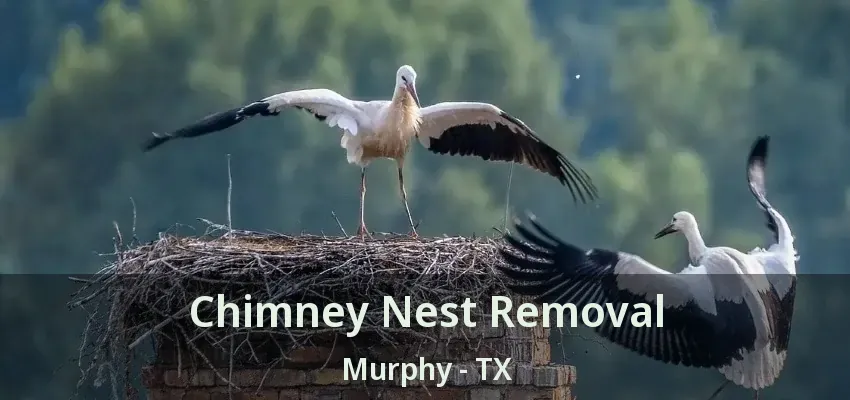 Chimney Nest Removal Murphy - TX
