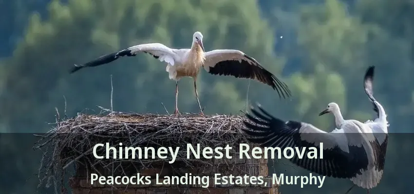 Chimney Nest Removal Peacocks Landing Estates, Murphy - TX
