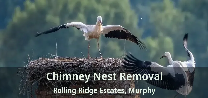 Chimney Nest Removal Rolling Ridge Estates, Murphy - TX