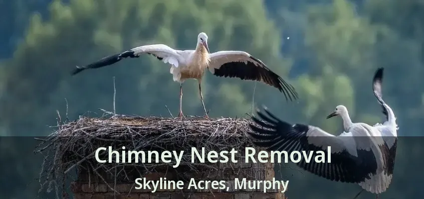 Chimney Nest Removal Skyline Acres, Murphy - TX