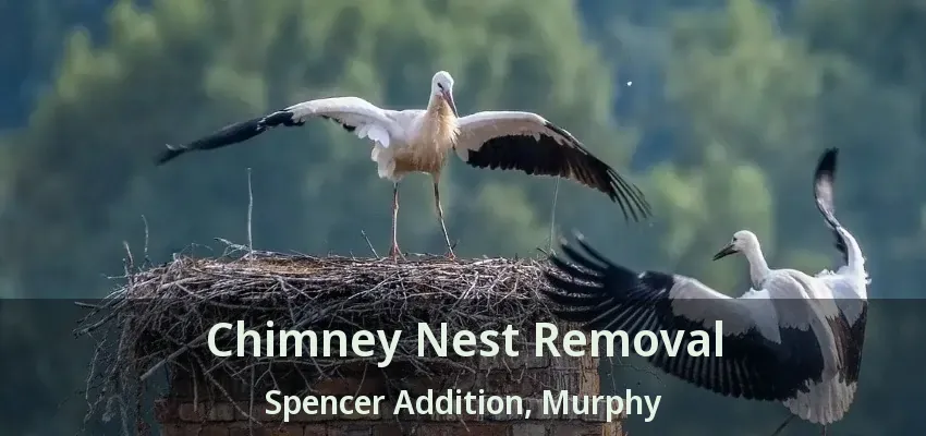 Chimney Nest Removal Spencer Addition, Murphy - TX