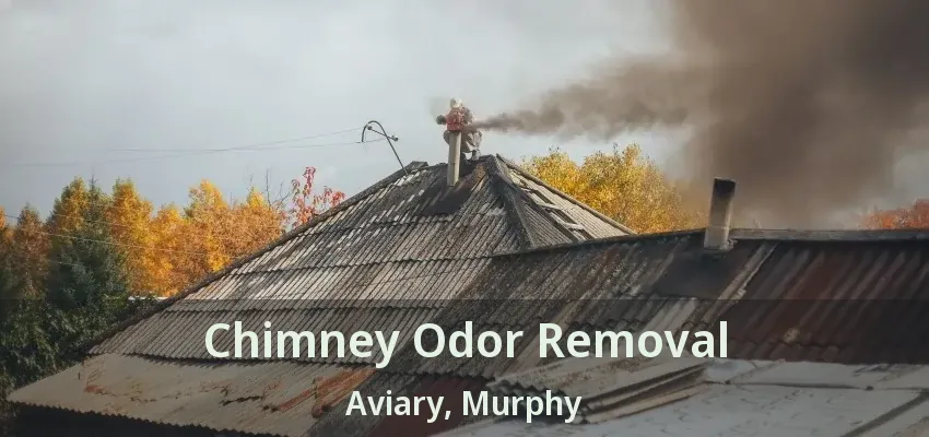 Chimney Odor Removal Aviary, Murphy - TX