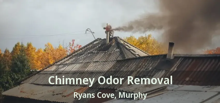Chimney Odor Removal Ryans Cove, Murphy - TX