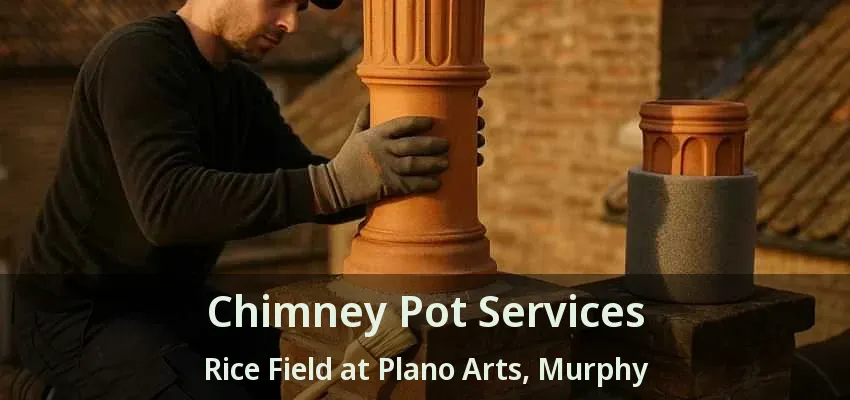 Chimney Pot Services Rice Field at Plano Arts, Murphy - TX