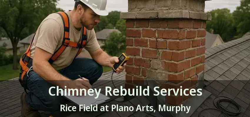 Chimney Rebuild Services Rice Field at Plano Arts, Murphy - TX