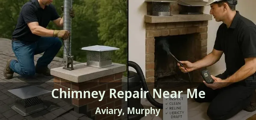 Chimney Repair Near Me Aviary, Murphy - TX