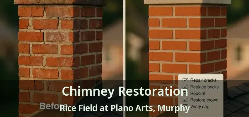 Chimney Restoration Rice Field at Plano Arts, Murphy - TX