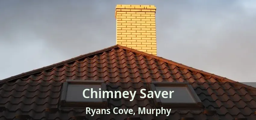 Chimney Saver Ryans Cove, Murphy - TX