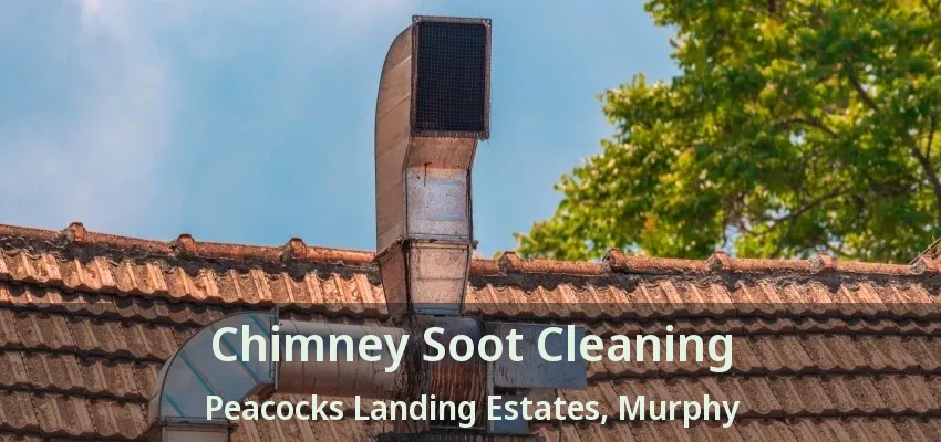 Chimney Soot Cleaning Peacocks Landing Estates, Murphy - TX
