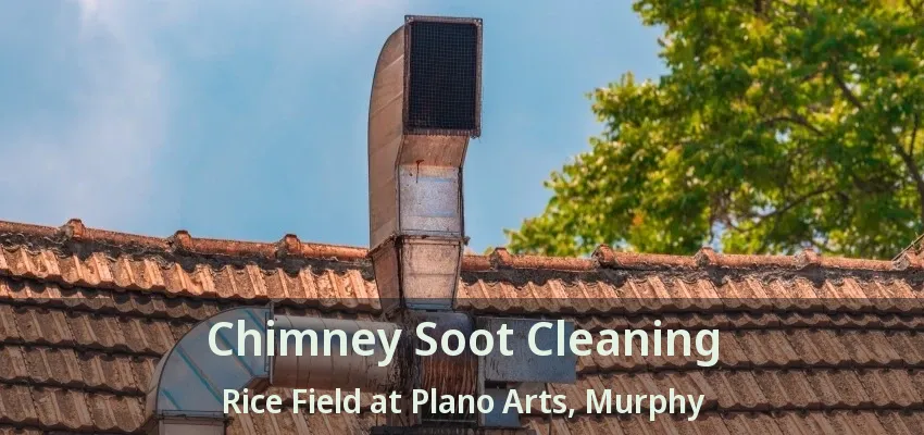 Chimney Soot Cleaning Rice Field at Plano Arts, Murphy - TX