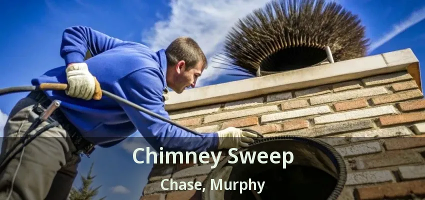 Chimney Sweep Chase, Murphy - TX