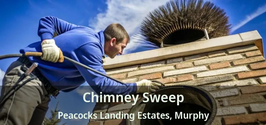 Chimney Sweep Peacocks Landing Estates, Murphy - TX