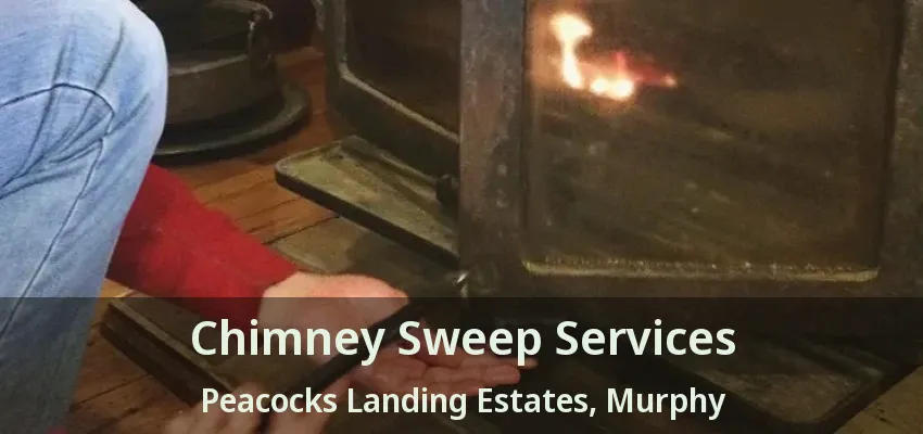 Chimney Sweep Services Peacocks Landing Estates, Murphy - TX