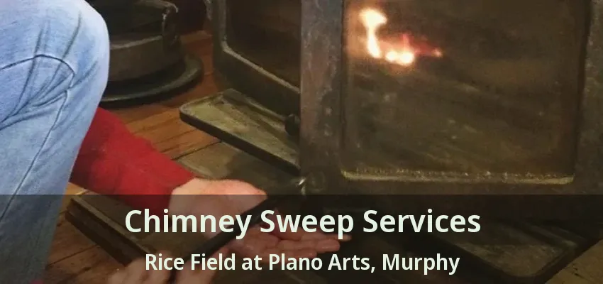 Chimney Sweep Services Rice Field at Plano Arts, Murphy - TX