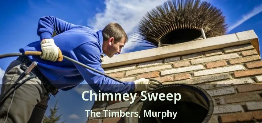Chimney Sweep The Timbers, Murphy - TX