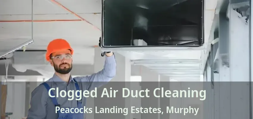 Clogged Air Duct Cleaning Peacocks Landing Estates, Murphy - TX
