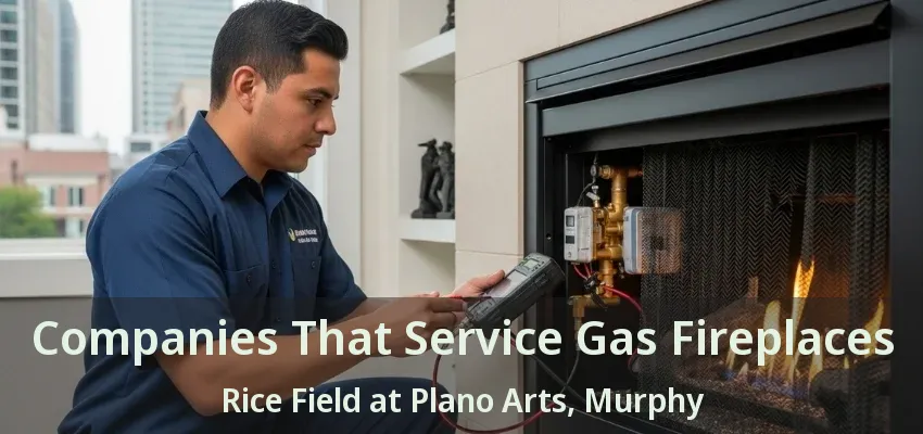 Companies That Service Gas Fireplaces Rice Field at Plano Arts, Murphy - TX